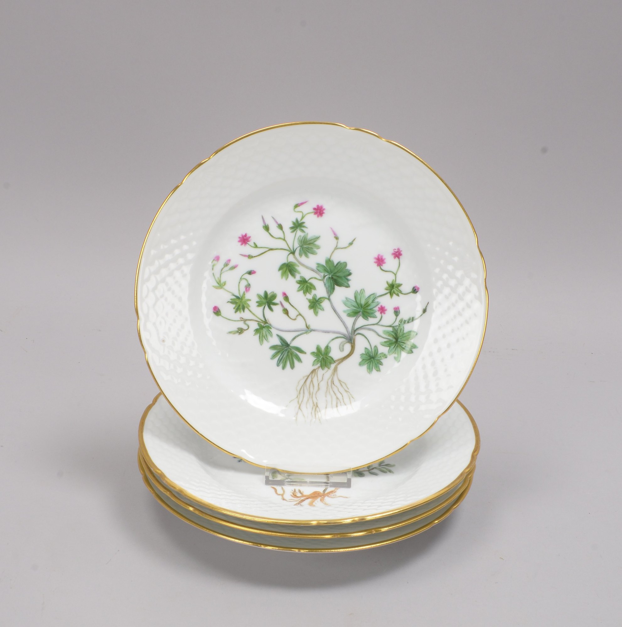 Bing & Grøndahl/Kopenhagen, Satz Wandteller, jeweils mit botanischen Motiven, mit Goldrand