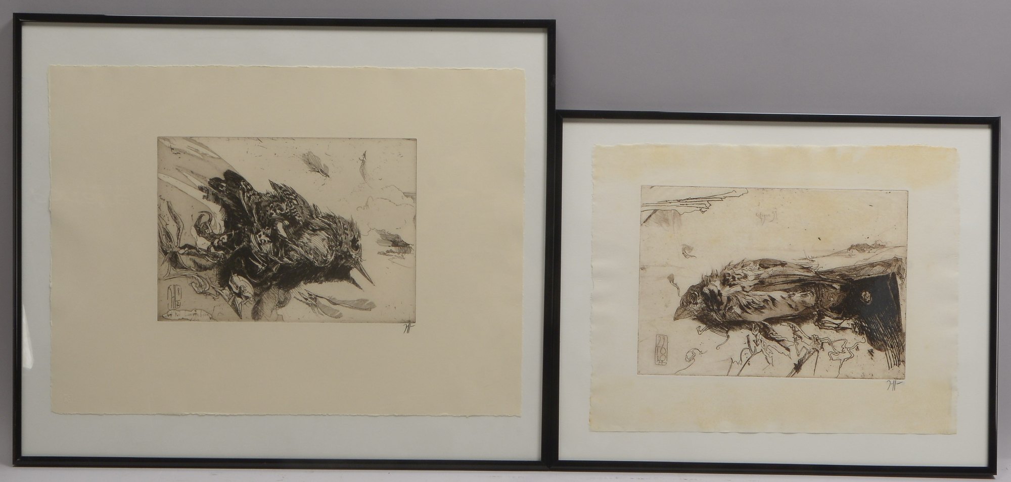 Janssen, Horst (1929 - 1995), 2 Radierungen: 'Vogeldarstellungen', monogrammiert, hinter Glas