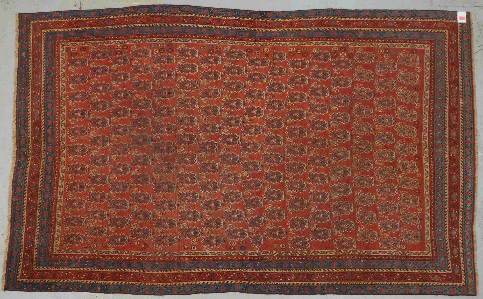Khamsa-Orientbrücke, Wolle auf Wolle, Pflanzenfarben, ringsum komplett, Flor gleichmäßig dünn