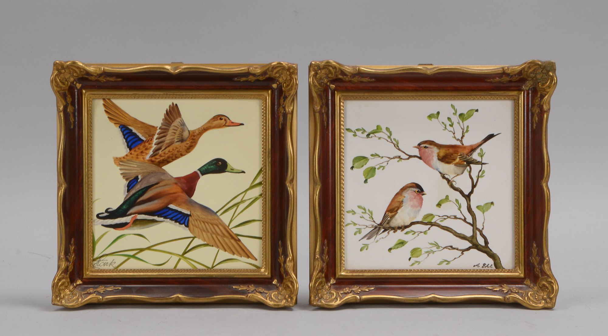 Rosenthal, 2 Porzellanbilder: 'Wildenten' und 'Rotkehlchenpaar', signiert/gerahmt
