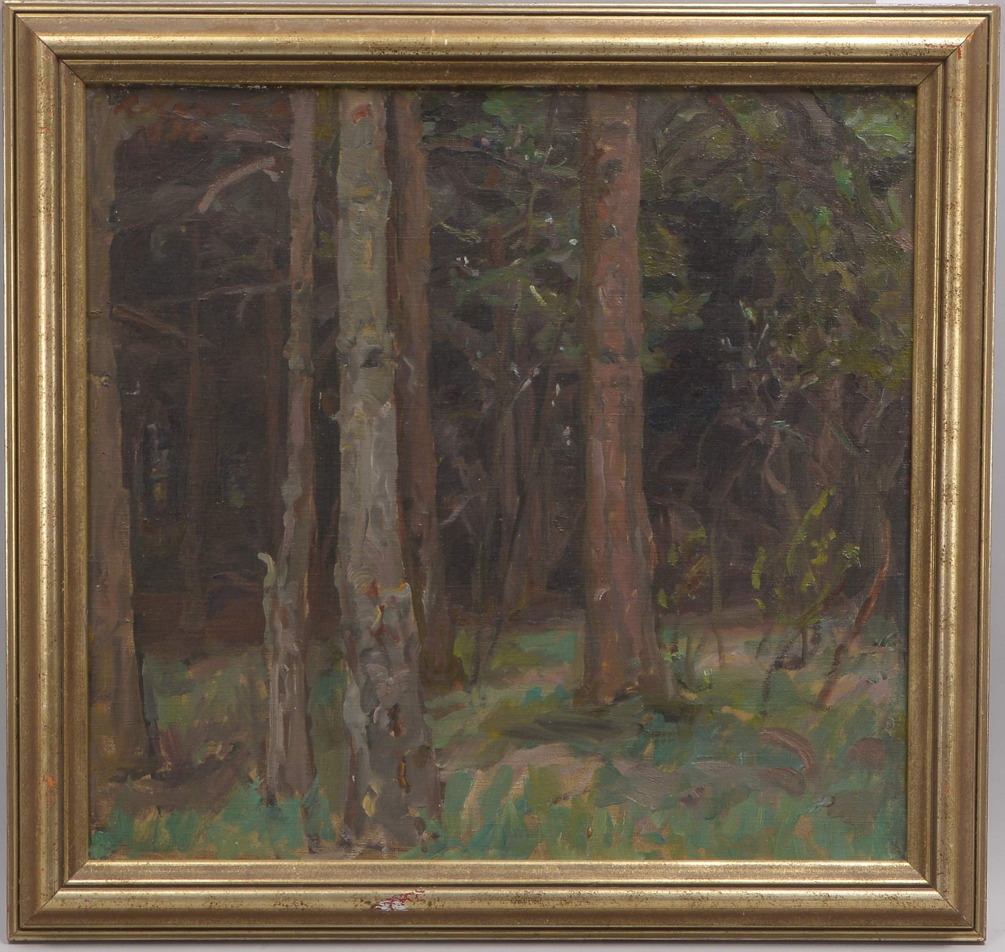 Hammer, Rudolf (1882 - 1957), 'Tannenwald im Vorfrühling', Öl/Lw