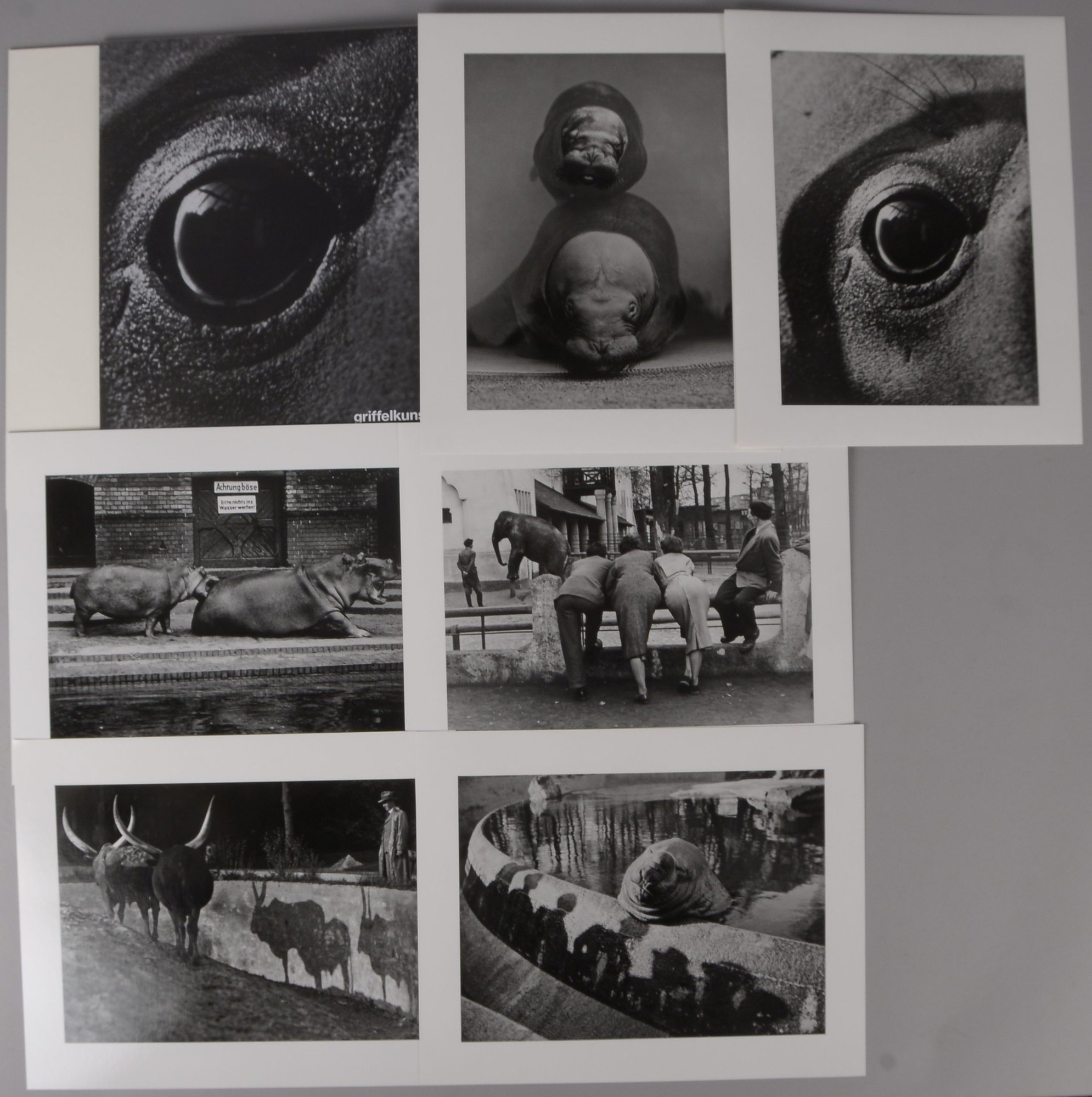 Seidenstücker, Friedrich, 'Zoo-Photographien' - Griffelkunst: 6x Fotogr.
