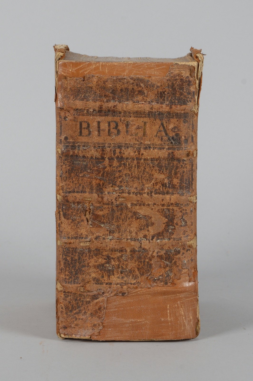 Alte Bibel, '[... ]Altes und Neues Testament verdeutscht durch D.M. Luther' (1704)