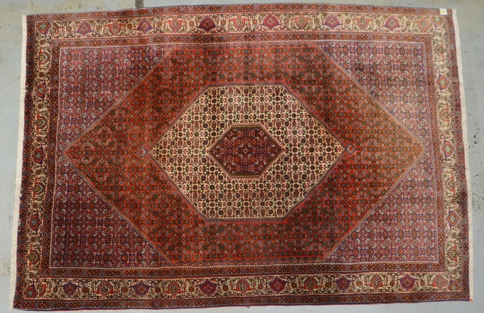 Bidjar, mittelfeine feste Knüpfung, mit Abrasch/Farbschwankungen, dichter Flor