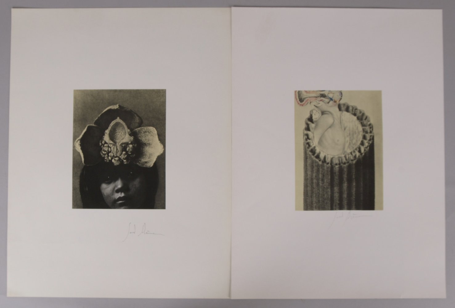 Schumann, Sarah, 2 Offsetdrucke (Ed. Griffelkunst), jeweils sign., ungerahmt