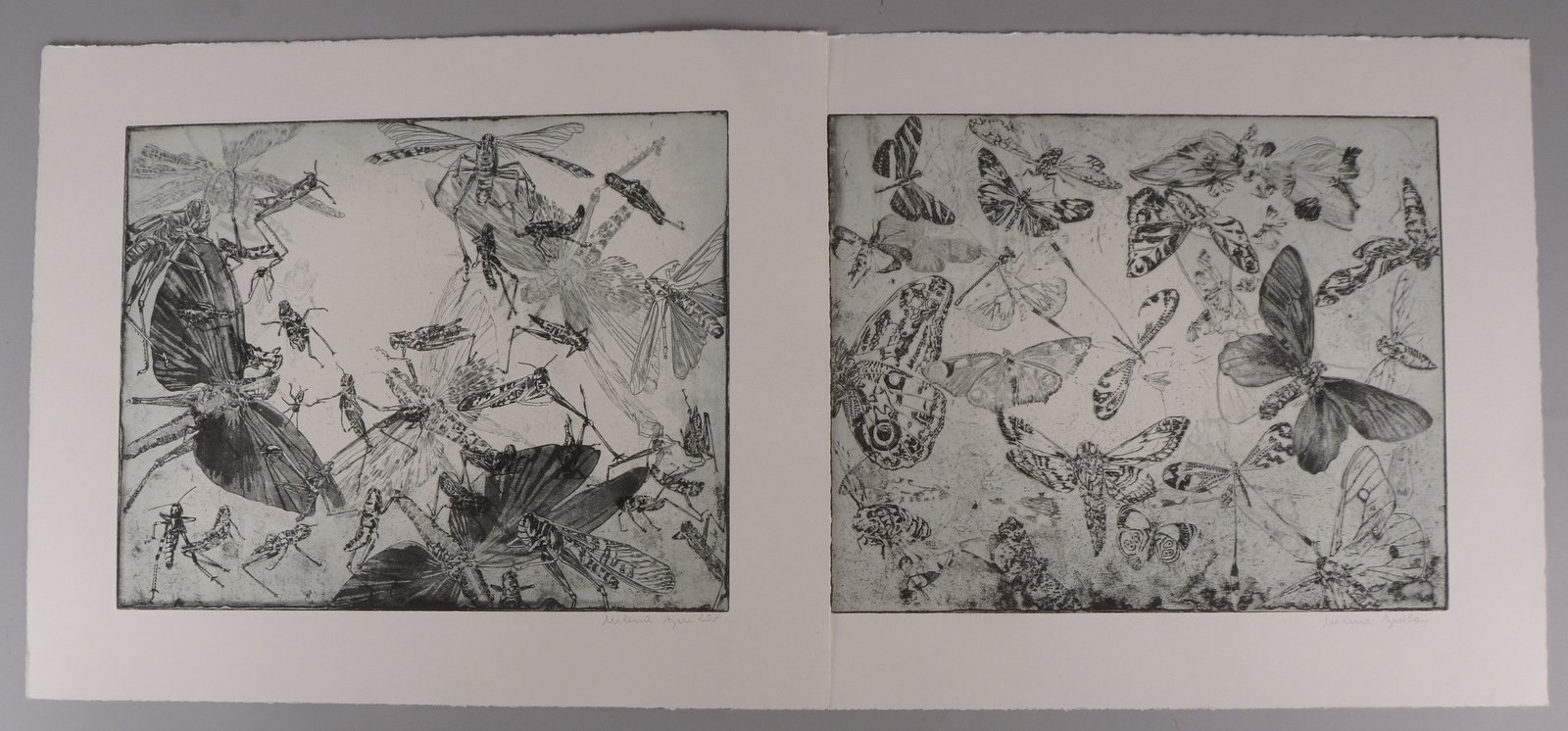 Aguilar, Milena, 2 Radierungen (Ed. Griffelkunst), jeweils sign., ungerahmt