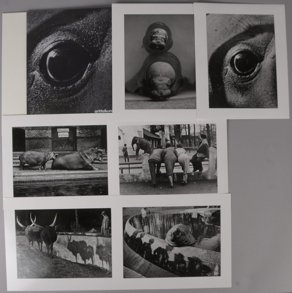 Seidenstücker, Friedrich, 'Zoo-Photographien' - Griffelkunst: 6x Fotogr.