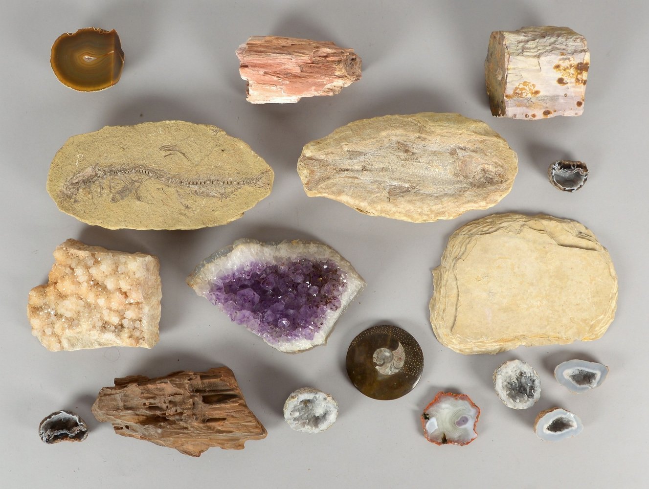 Kleine Mineralien-/Fossiliensammlung, versch. Teile, 17 Stück