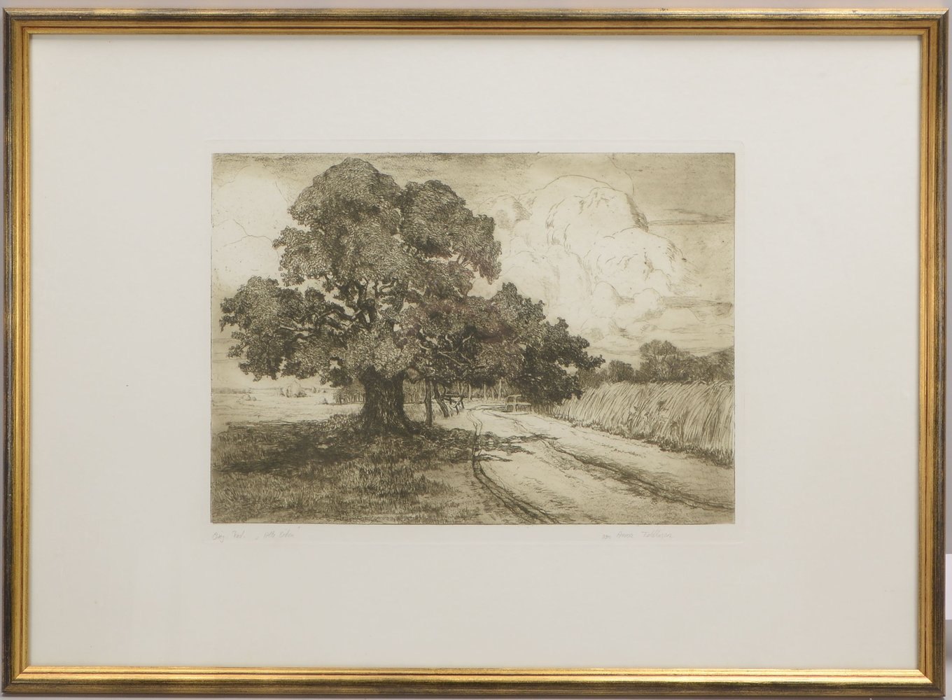 Feldhusen, Anna, 'Alte Eichen', Radierung, sign./bet., hinter Glas gerahmt