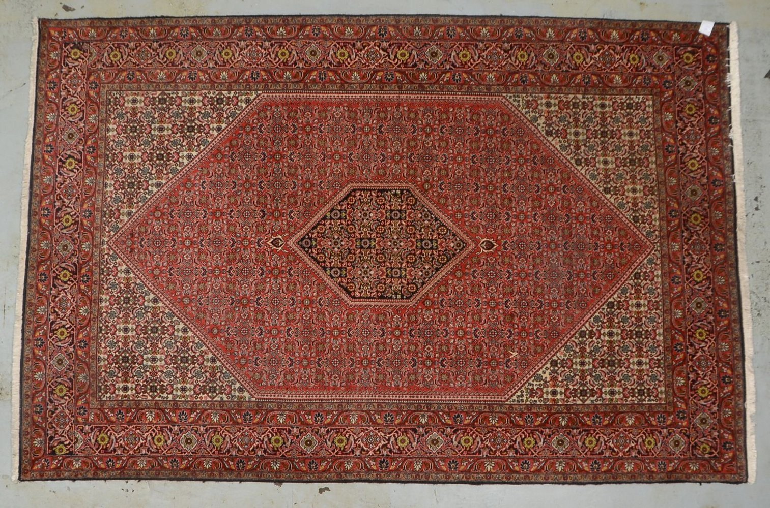 Bidjar, mittelfeine Kn., ringsum komplett, hoher dichter Flor - guter Zustand