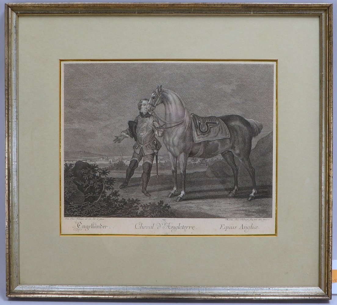 Ridinger, M.E., alter Kupferstich, 'Cheval d'Angleterre', unter PP; Maße 46,5 x 51,5 cm