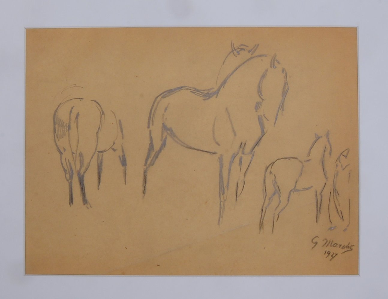 Marcks, Gerhard, 'Pferdestudien', Bleistiftzeichnung, sign./dat. '1927', unter PP