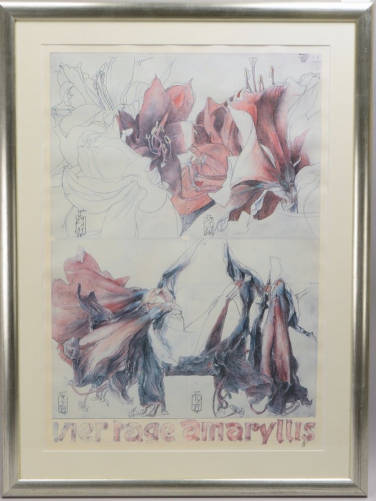 Janssen, Horst, 'Amaryllis', Druckgrafik, in Blei monogr., unter PP; Rahmenmaße 71 x 96 cm