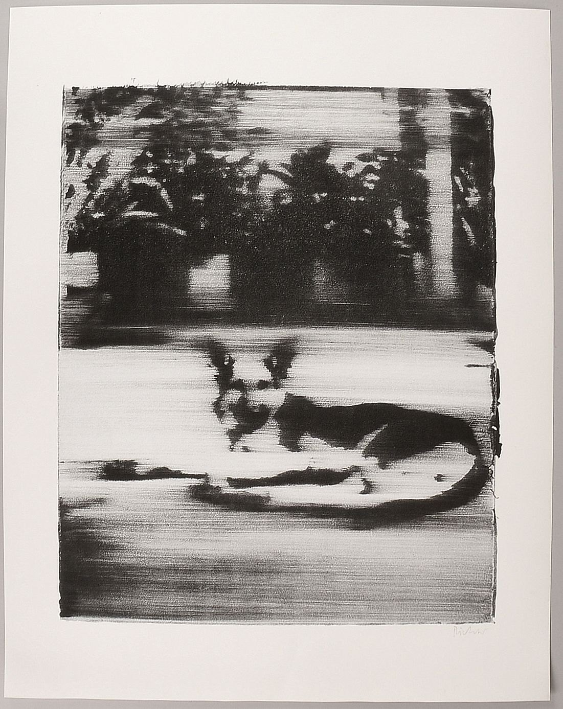 Richter, Gerhard, 'Schäferhund', Offsetdruck, signiert, ungerahmt; Maße ca. 75 x 59 cm
