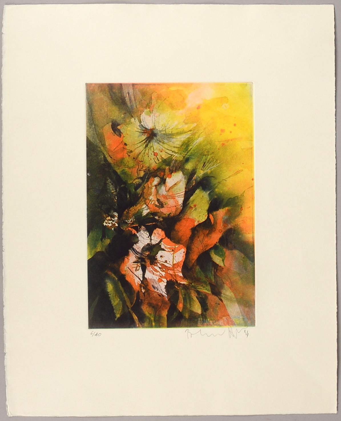 Vogel, Bernhard, 'Amaryllis', Farbrad., sign./dat., ungerahmt; Blattmaße 40 x 50 cm