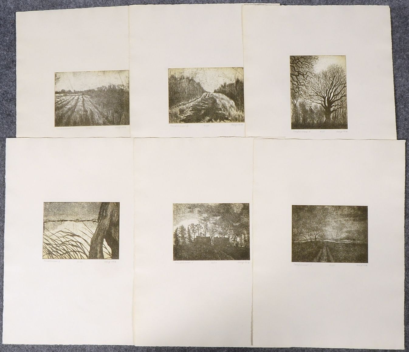 Hartmann, Wulf, 6 Radierungen, 'Teufelsmoor-Zyklus', jew. numm. '4/50', sign./dat. '1976'