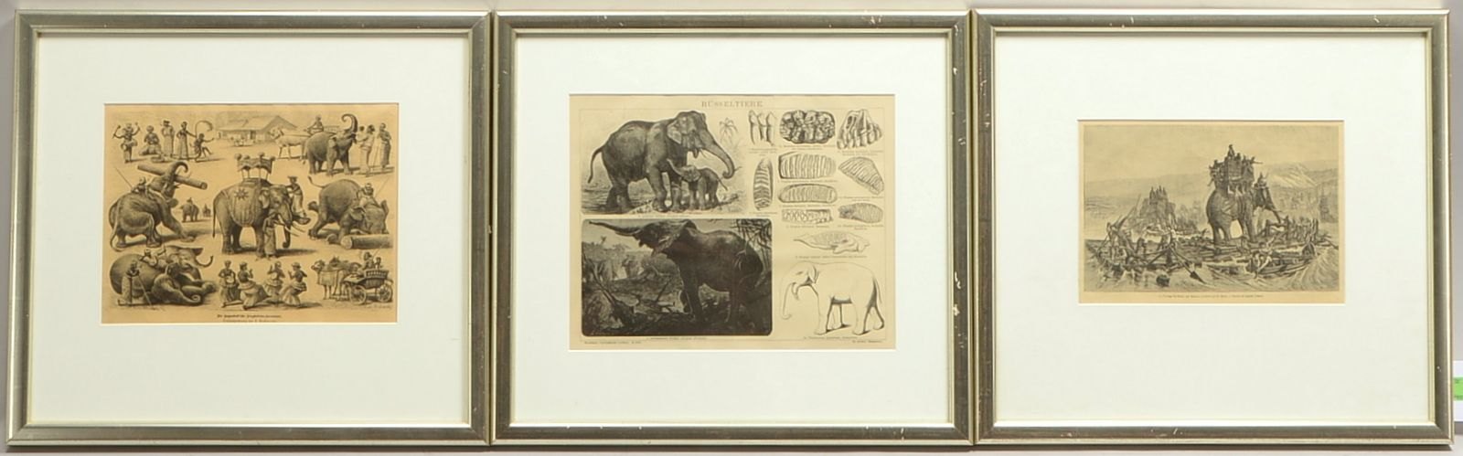 3 Bilderrahmen, jeweils mit Passepartout und Verglasung; Falzmaße 36 x 40,5 cm