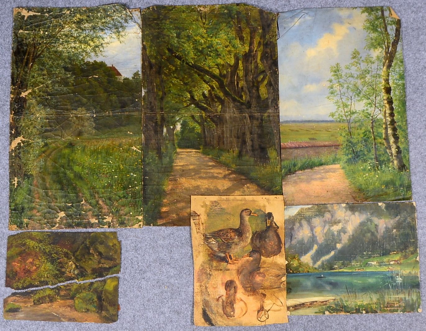 Spielter, C.J., 6 Studien - meist 'Landschaften', Öl/Lw, untersch. Formate und Zustände