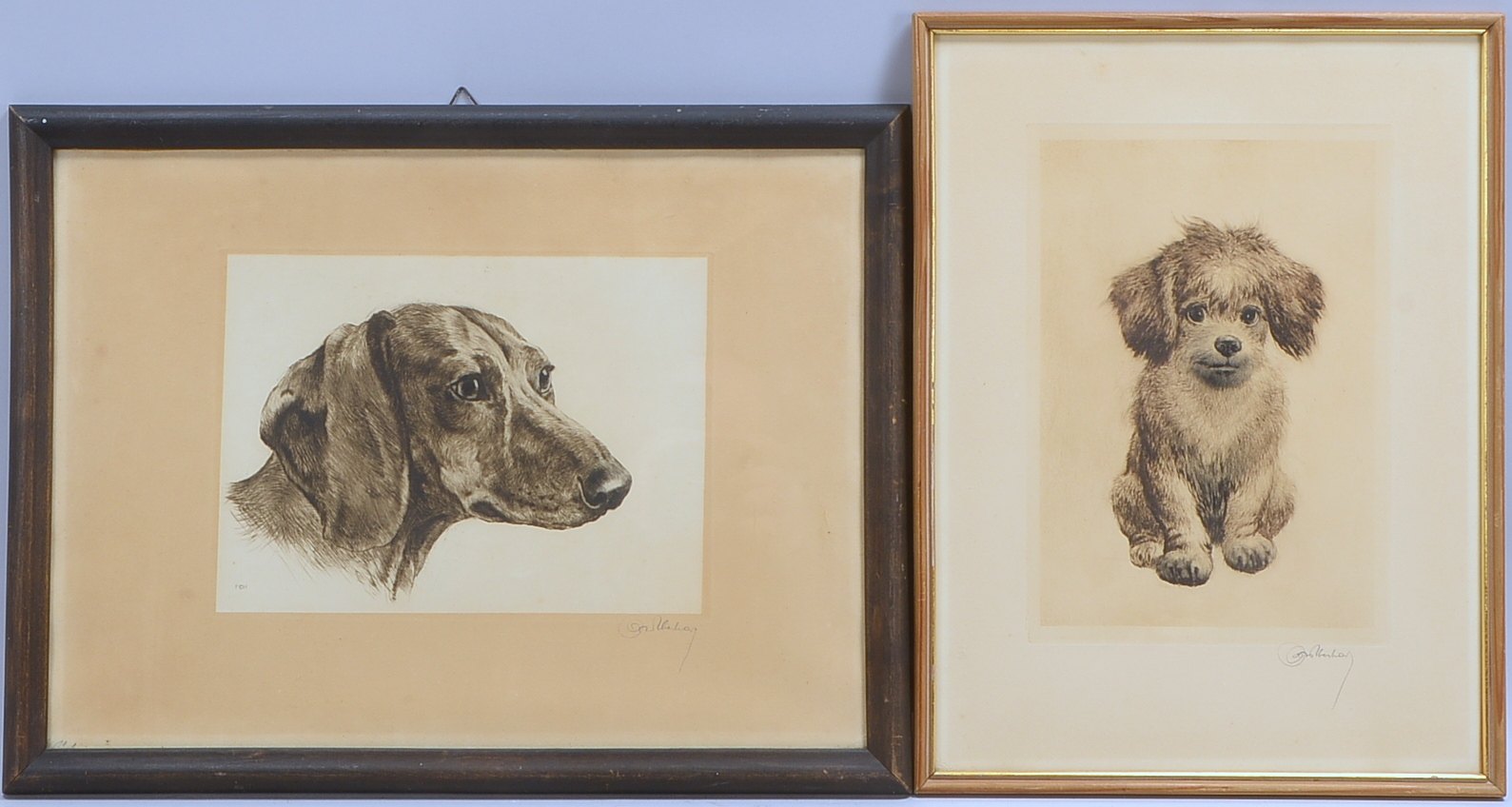 Meyer-Eberhardt, Kurt (1895 - 1977), 2 Radierungen: 'Dackel-Portrait' und 'Hundewelpen', sign.