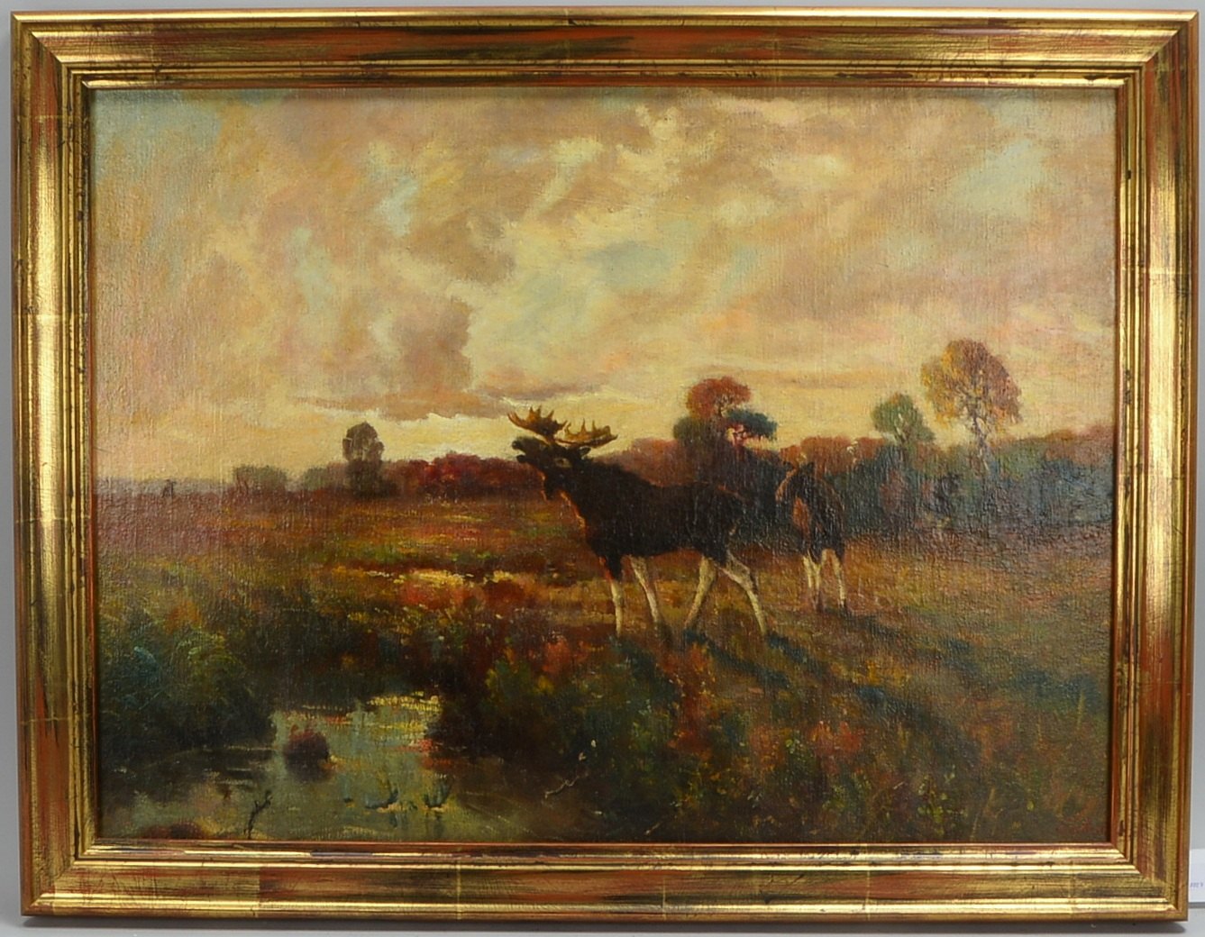 Perkuhn, Edwin, 'Röhrender Elch im Moor', Öl/Lw, sign.; Rahmenmaße 70 x 90 cm