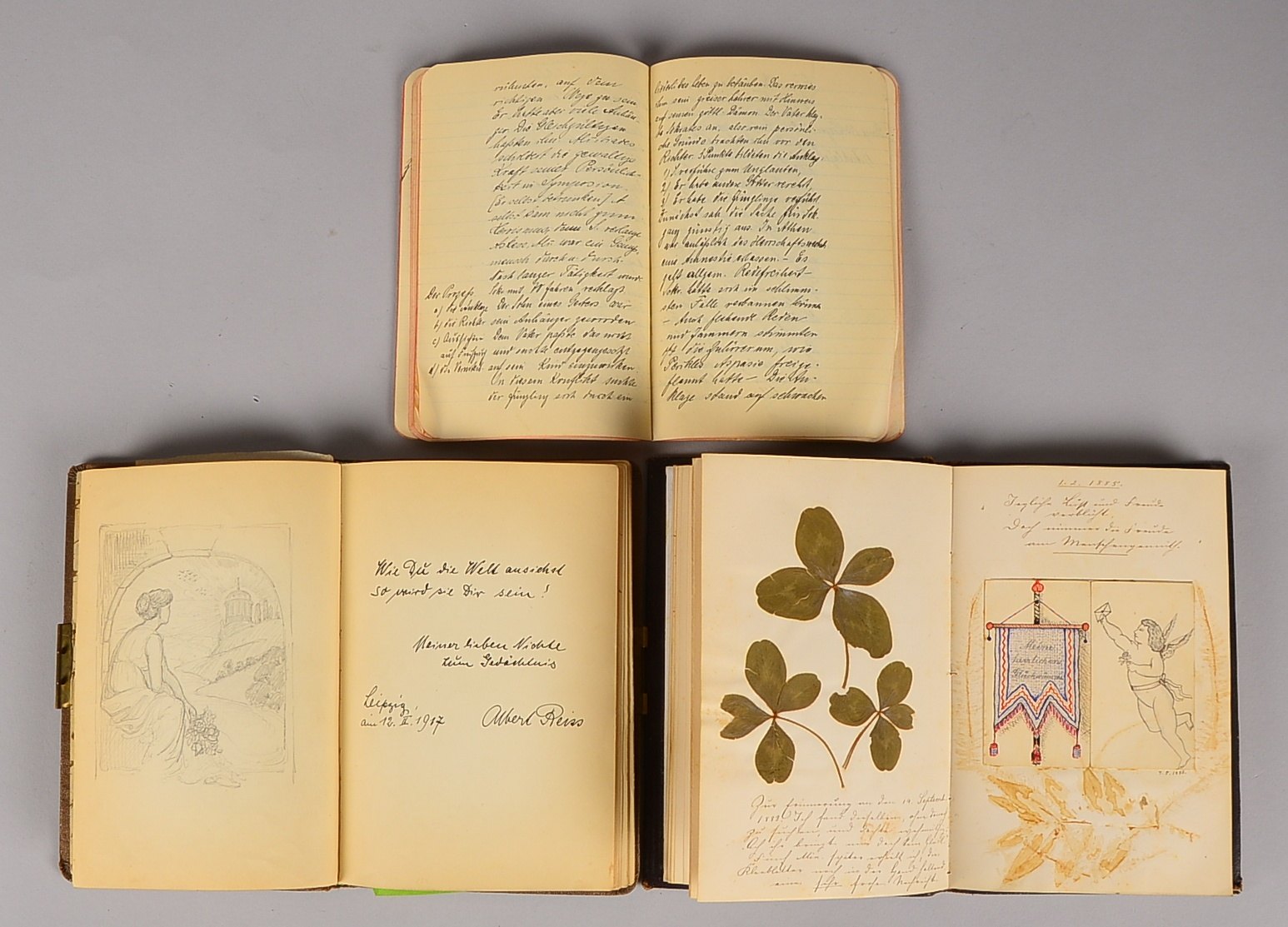 2 historische Poesiealben (ca. 1880 - 1885 und 1917/18) und Aufgabenheft (1915/1916)