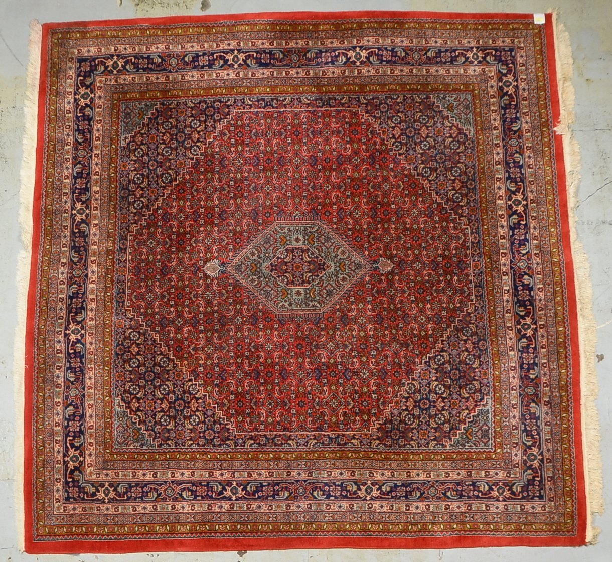 Bidjar, feste Knüpfung, guter Zust. - fast quadratisches Format!; Maße 250 x 253 cm