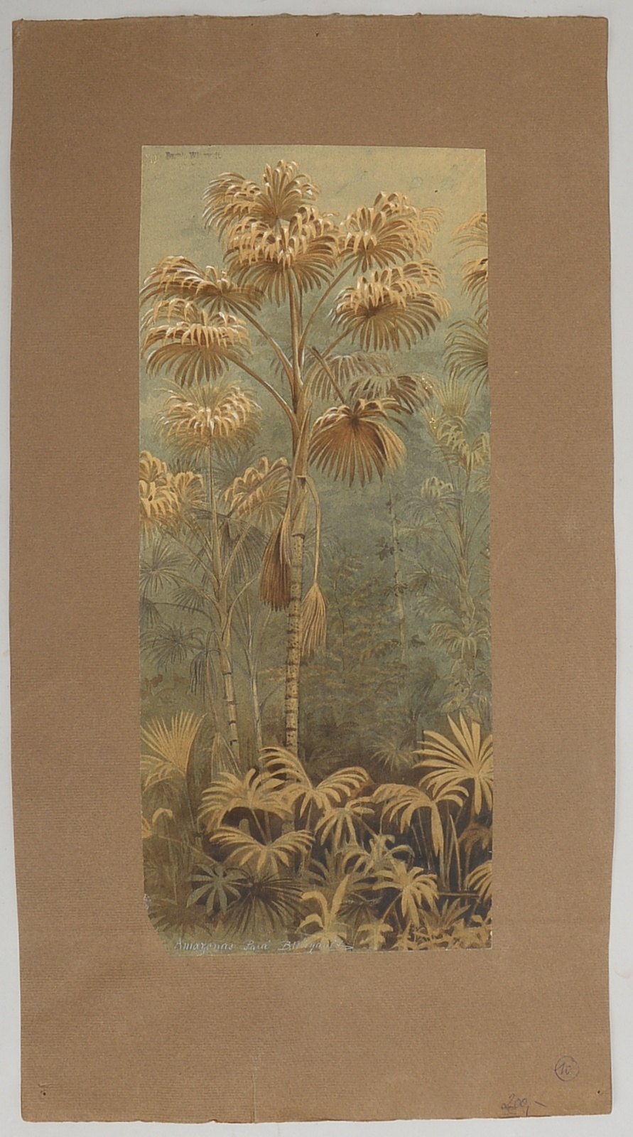Wiegandt, Bernd, 'Amazonas', Aquarell/Zeichnung, betitelt und signiert, ungerahmt; Blattmaße 63 x 34