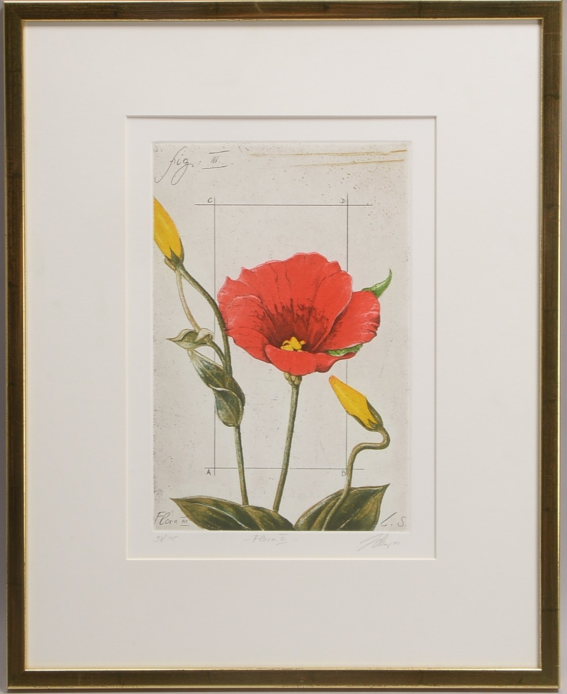 Zelmer, Wolfgang (*1948 München), 'Flora III', Farbradierung, Auflage-Nr. '98/145', in der Platte si