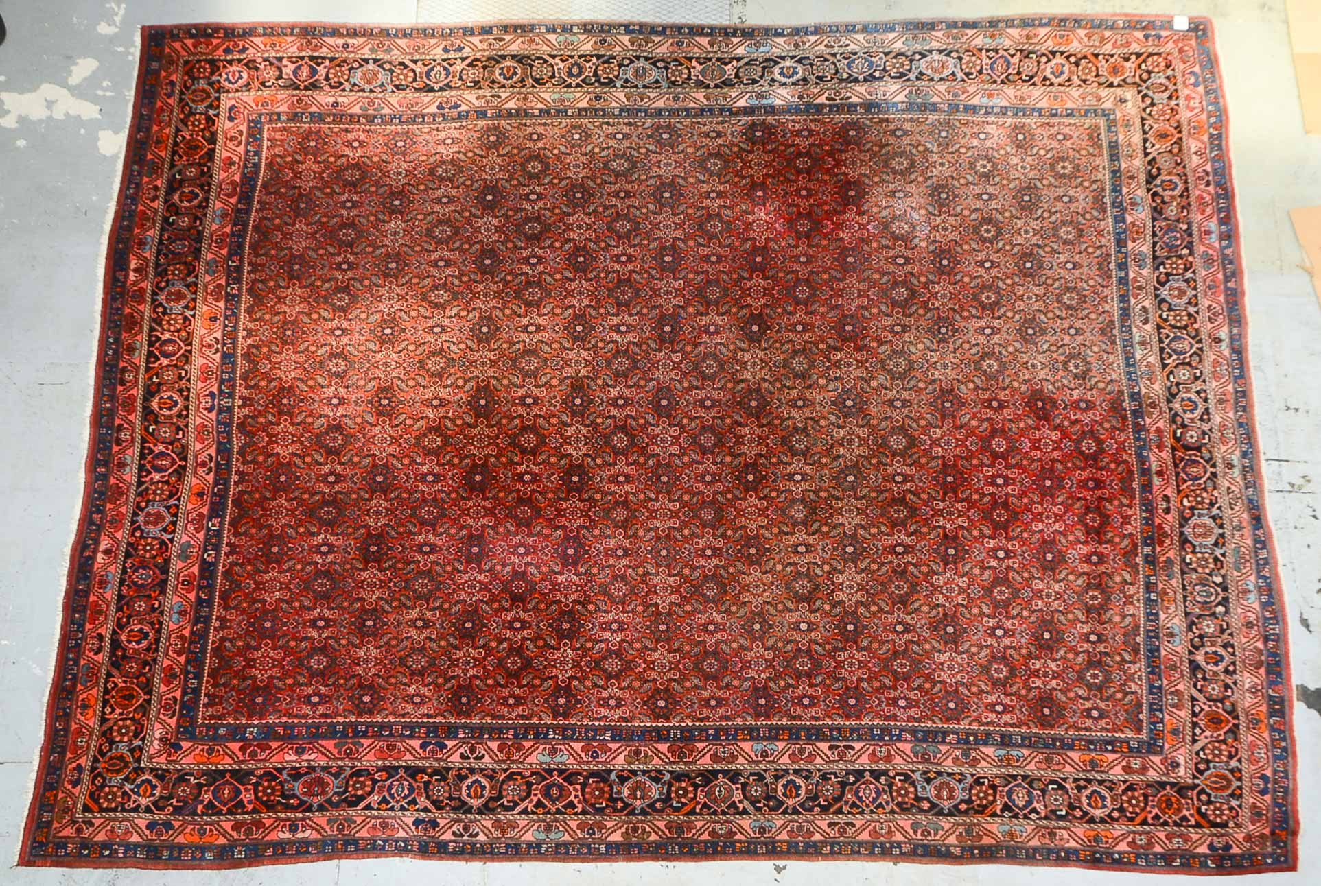 Großer Bidjar, mittelfeine bis feine Knüpfung, ringsum komplett, gleichmäßig hoher Flor; Maße 445 x