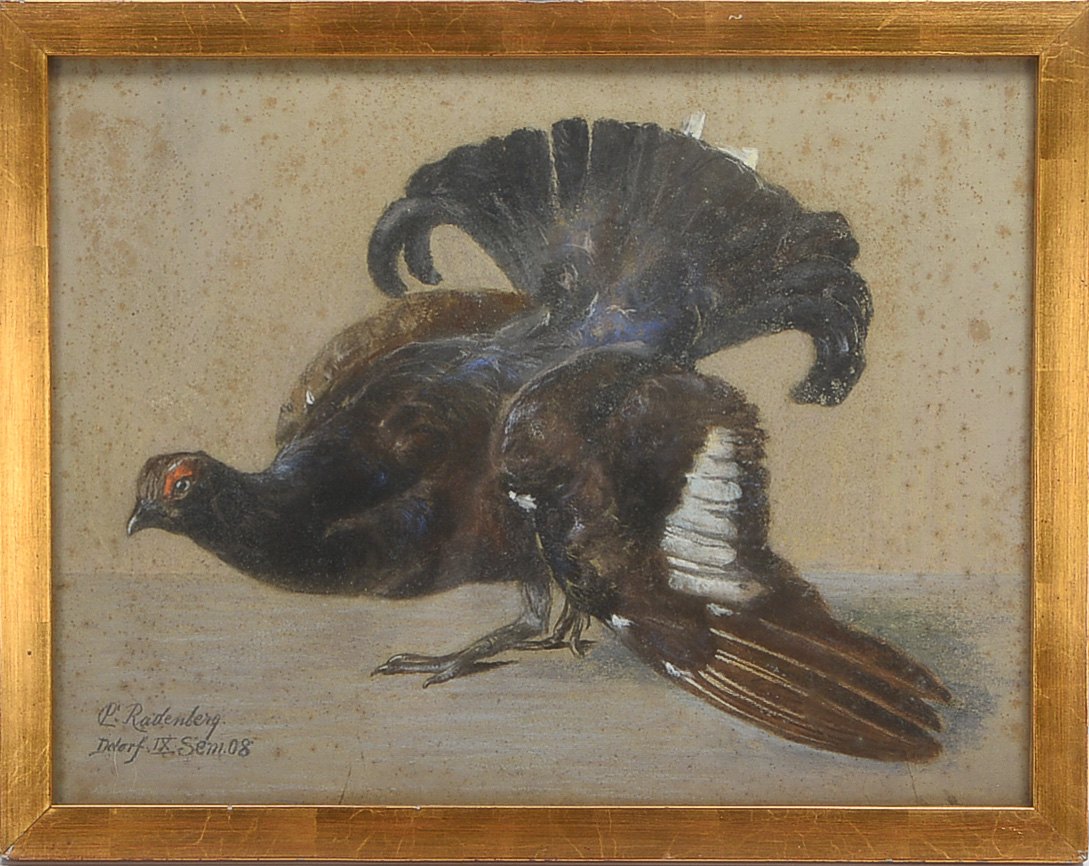 Kreidepastell (Düsseldorfer Malerschule), 'Auerhahn', Pastell auf Papier/gerahmt, unten links signie