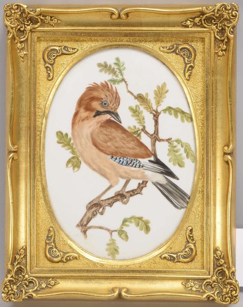 KPM, Porzellanbild (1-gestr., mit Zepter-Pressmarke), oval, Motiv 'Eichelhäher'
