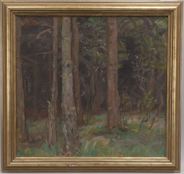 Hammer, Rudolf (1882 - 1957), 'Tannenwald im Vorfrühling', Öl/Lw
