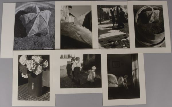 Kühn, Heinrich, 'Pionier der Kunstphotographie' - 6x Fotografien
