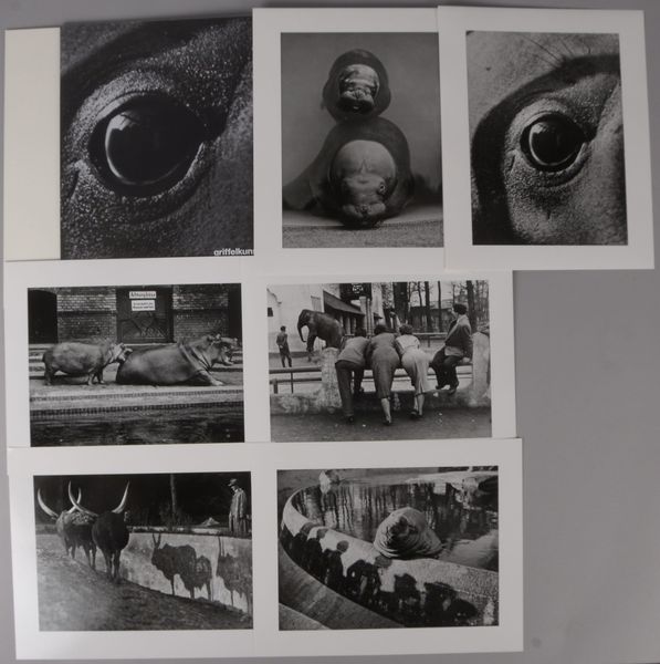 Seidenstücker, Friedrich, 'Zoo-Photographien' - Griffelkunst: 6x Fotogr.
