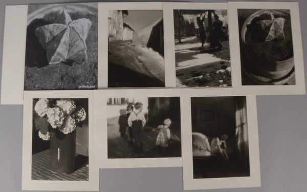 Kühn, Heinrich, 'Pionier der Kunstphotographie' - 6x Fotografien