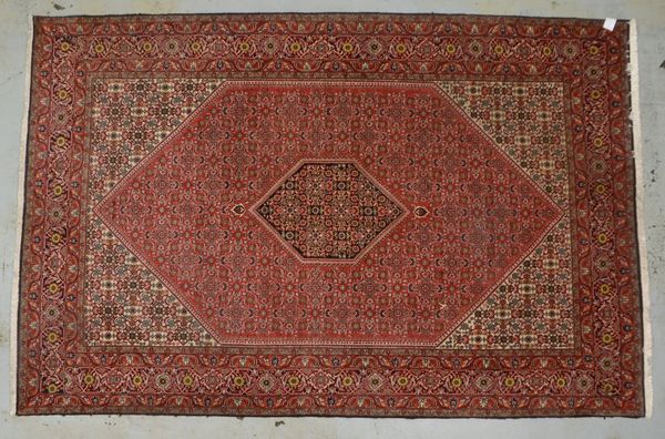 Bidjar, mittelfeine Kn., ringsum komplett, hoher dichter Flor - guter Zustand