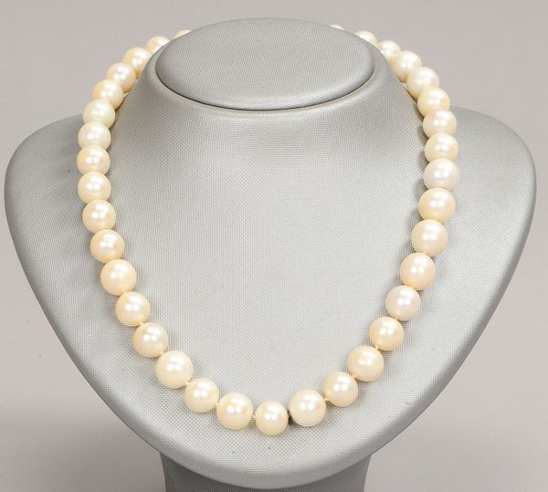 Collier, mit Perlenbesatz/Ø 11 mm, einzeln gekn., 585 WG-Schließe mit Diam.