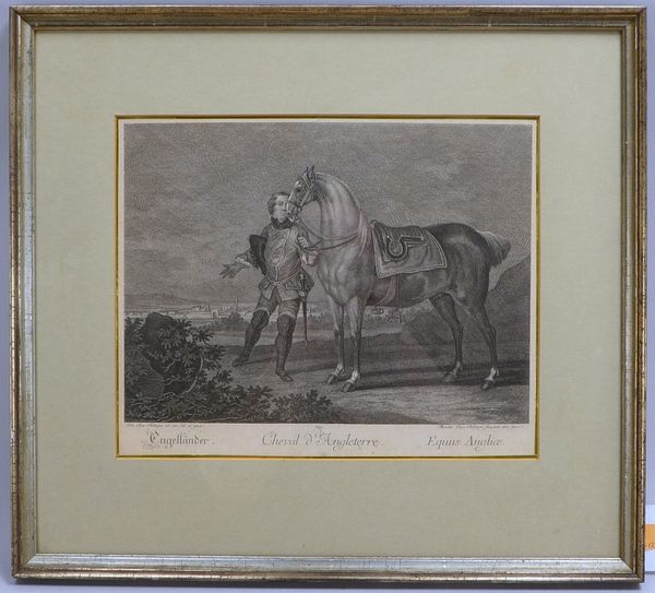 Ridinger, M.E., alter Kupferstich, 'Cheval d'Angleterre', unter PP; Maße 46,5 x 51,5 cm