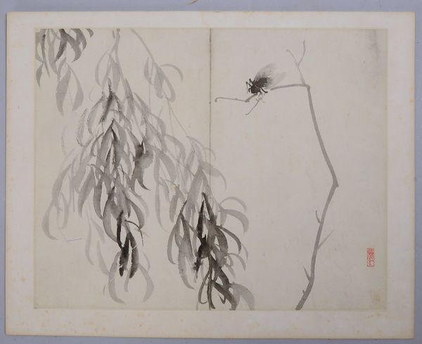 Tuschezeichnung, 'Fliege an Zweig', Stempelsignatur; Maße 34 x 27,5 cm (leicht fleckig)