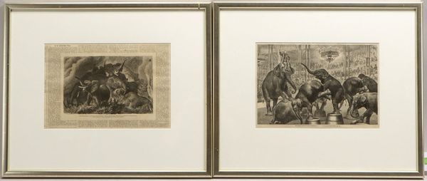 2 Bilderrahmen, jeweils mit Passepartout und Verglasung; Falzmaße 48 x 58 cm