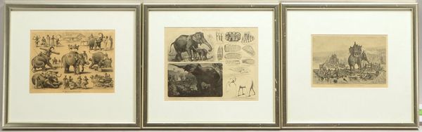 3 Bilderrahmen, jeweils mit Passepartout und Verglasung; Falzmaße 36 x 40,5 cm