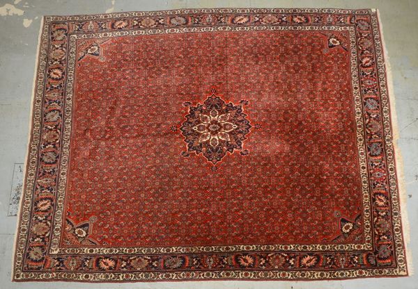 Bidjar, feste mittelf./feine Knüpfung, hoher dichter Flor; Maße 400 x 300 cm