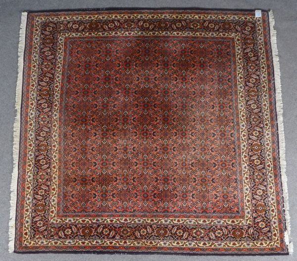 Bidjar, feste Knüpfung, gleichmäßig dichter Flor, fast quadratische Form!; Maße 208 x 207 cm (mit nu