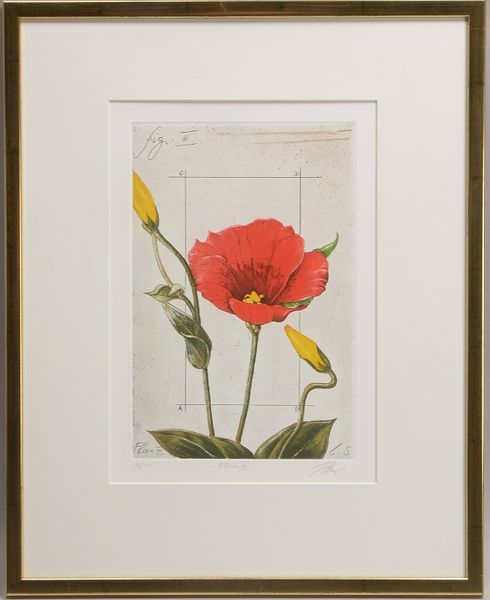 Zelmer, Wolfgang (*1948 München), 'Flora III', Farbradierung, Auflage-Nr. '98/145', in der Platte si