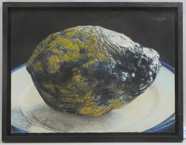 Schwarz, Reiner (*1940 Hirschberg, seit 1968 tätig in Berlin), 'Die große Papaja', Kohle-/Buntstiftz