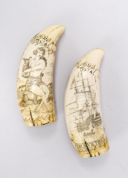 2 Scrimshaws (Repliken), feine Ritzzeichnungen des Walfängers 'Victory' und 'Mercator'; Länge 16,5 c
